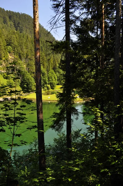 Ausztria Fernpass Fernsteinsee Fernsteinsee Fernpass Hegyi — Stock Fotó