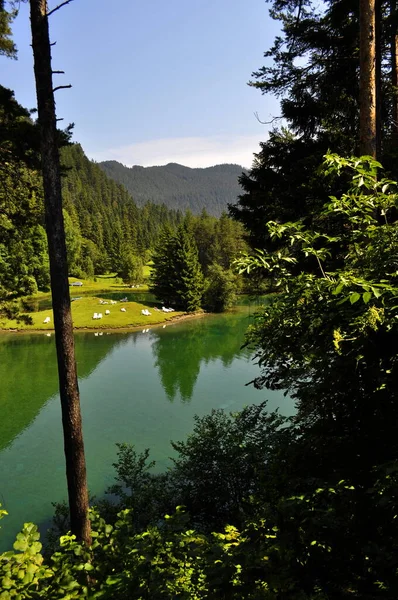 Austria Fernpass Fernsteinsee Fernsteinsee Ορεινή Λίμνη Στο Fernpass — Φωτογραφία Αρχείου