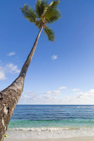 Seychelles Ilha Dos Sonhos — Fotografia de Stock