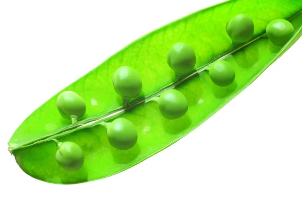Frische Grüne Pfauen Isoliert Weiß — Stockfoto