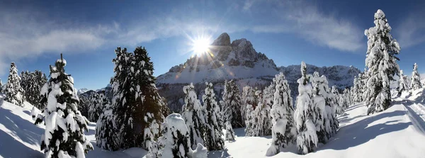 Pintoresca Vista Del Paisaje Invernal Cubierto Nieve —  Fotos de Stock