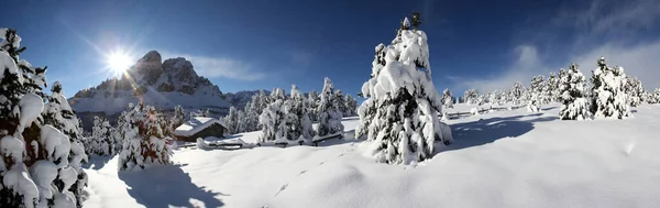 Pintoresca Vista Del Paisaje Invernal Cubierto Nieve —  Fotos de Stock