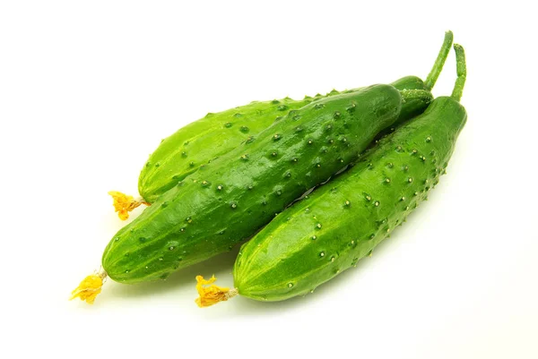 Ripe Cucumbers Isolated White Background — Stock Photo, Image