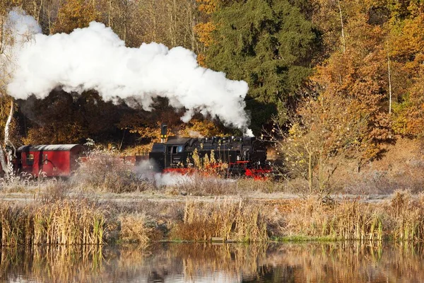 Harz Dar Ölçü Demiryolları Sonbahar Selketalbahn — Stok fotoğraf