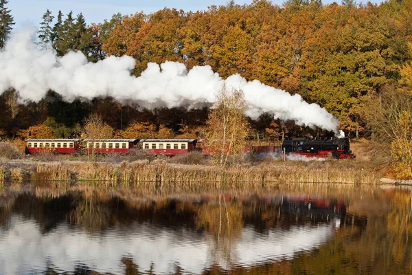 Harz Dar Ölçü Demiryolları Sonbahar Selketalbahn — Stok fotoğraf