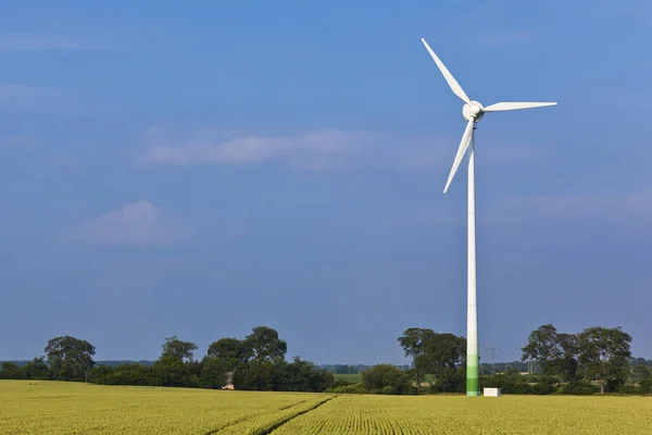 Pinwheel Stralsund Milho Altefaehr — Fotografia de Stock