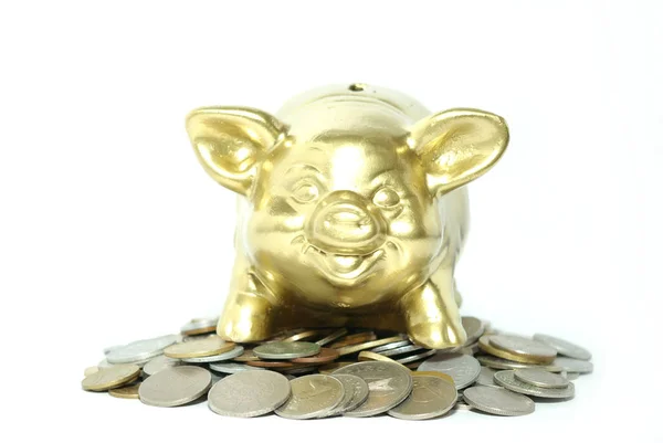 Piggy Bank Isolated White Background Coins — Stock Photo, Image