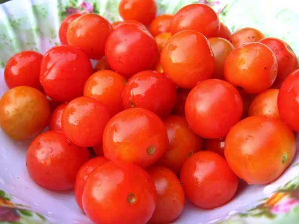 赤い小さな熟したトマトの背景のイメージ — ストック写真