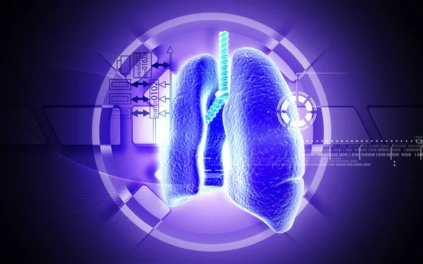 Digitale Illustration Menschlicher Lungen Farbigen Hintergrund — Stockfoto