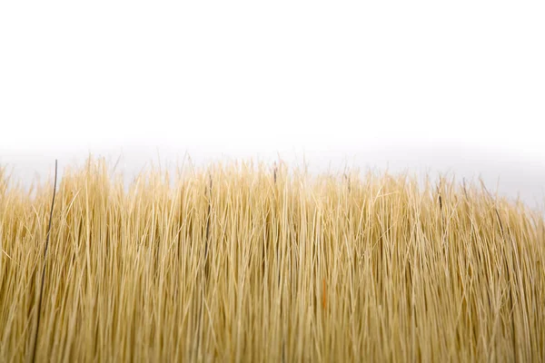 Närbild Konstnärlig Pensel Naturligt Hår Isolerad Vit Bakgrund — Stockfoto