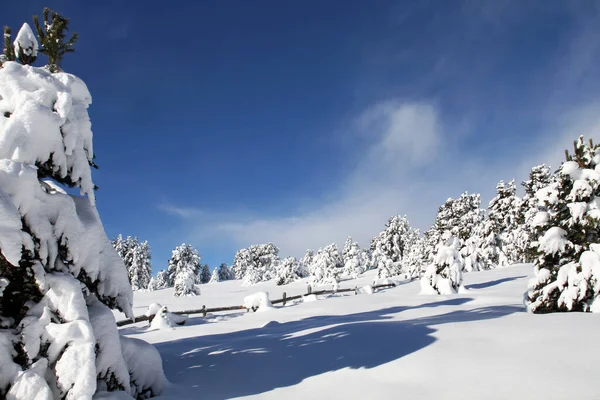 Живописный Вид Заснеженный Зимний Пейзаж — стоковое фото