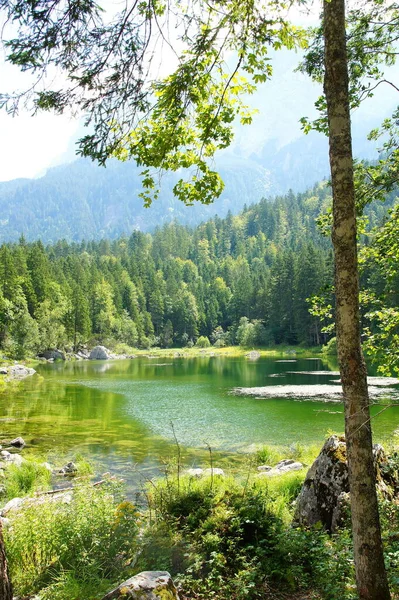 Small Frillensee Eibsee Zugspitze — Stock Photo, Image