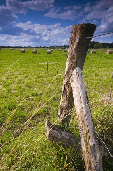 Straw Bales Roll Form Harvested Field Supported Wooden Fencepost Foreground — Stock Photo, Image