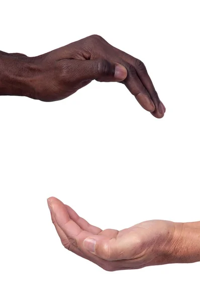 Hands Different Races Together Isolated White — Stock Photo, Image