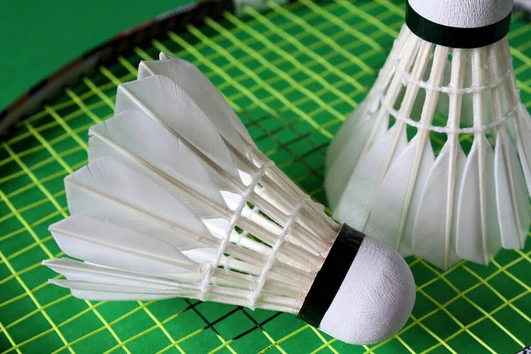 Badminton Actief Spel Sport — Stockfoto