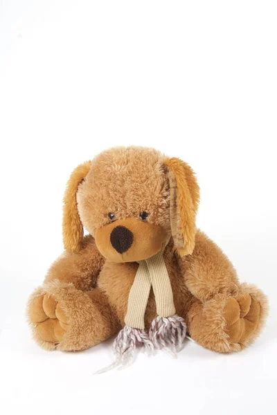 Brown Teddy Bear Front White Background — Stock Photo, Image