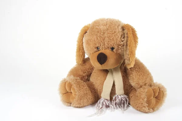 Bruine Teddybeer Voor Witte Achtergrond — Stockfoto