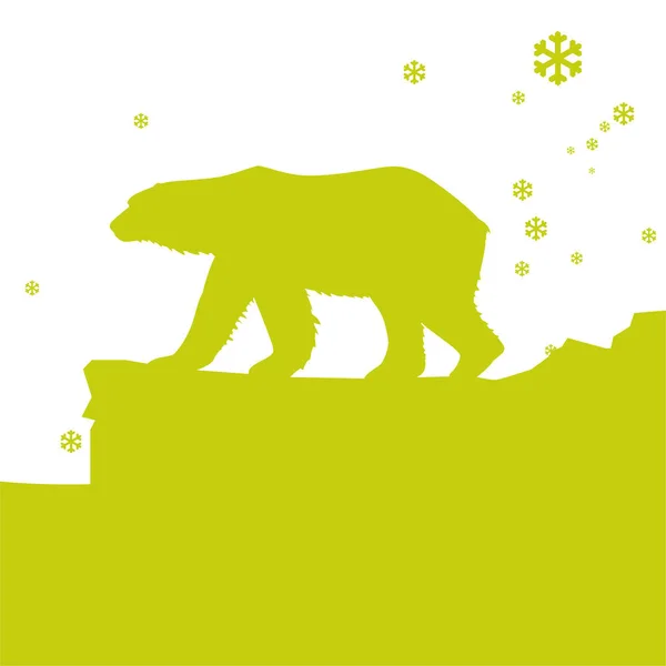 Jegesmedve Jégtáblán — Stock Fotó