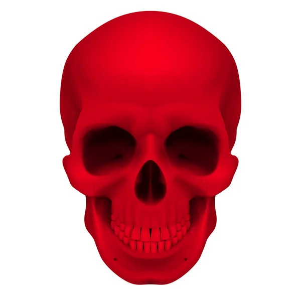 Realistischer Roter Totenkopf Illustration Für Designer Auf Weißem Hintergrund — Stockfoto