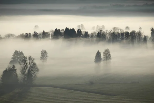 Malerischer Blick Auf Die Natur — Stockfoto