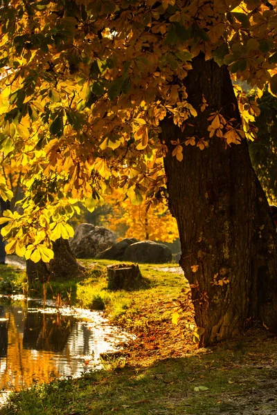 Schöne Farben Der Herbstlandschaft See — Stockfoto