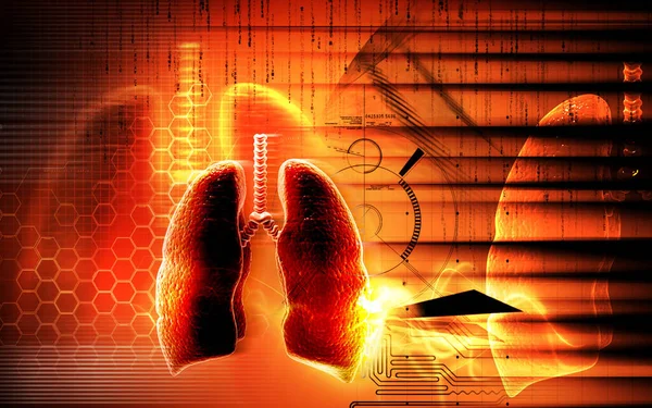 Digital Illustration Human Lungs Colour Background — Stock Photo, Image