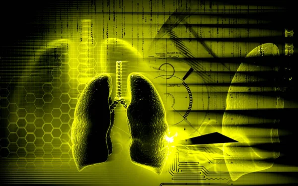 Ilustración Digital Los Pulmones Humanos Fondo Color — Foto de Stock