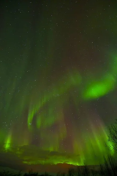 Aurora Borealis Polar Norrsken — Stockfoto