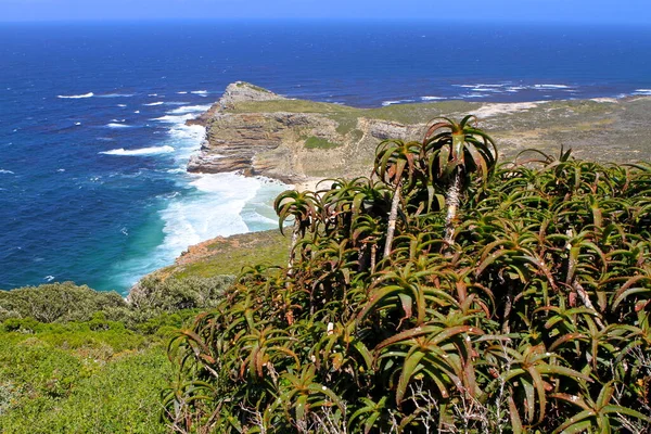 Bella Vista Sul Paesaggio Del Mare — Foto Stock