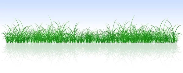 Векторная Иллюстрация Одной Изолированной Травы — стоковое фото