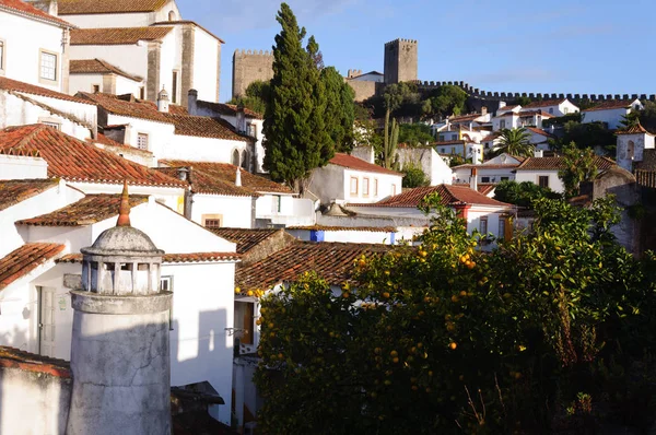 Mittelalterliche Häuser Der Antiken Stadt Obidos Portugal Mit Burgmauern Hintergrund — Stockfoto