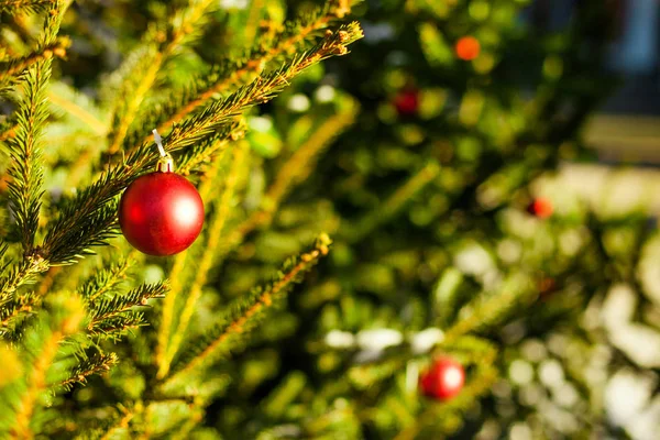 メリークリスマスと新年おめでとう赤い飾り — ストック写真