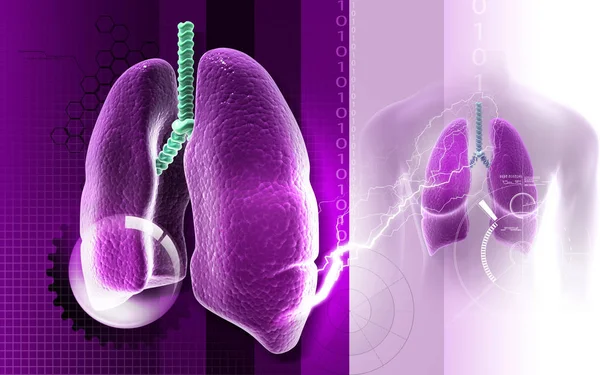 Digital Illustration Human Lungs Colour Background — Stockfoto