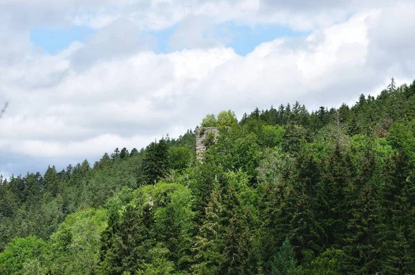 Torre Castelo Ruínas Steinegg Wittlekofen Meio Floresta — Fotografia de Stock