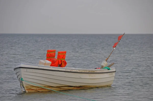 Vue Sur Mer Baltique — Photo