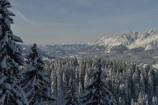 Природа Гірський Зимовий Пейзаж Деревом Свіжим Снігом — стокове фото