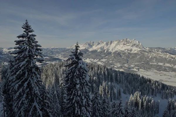 Naturaleza Montaña Invierno Paisaje Con Árboles Nieve Fresca —  Fotos de Stock