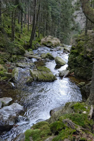 Wasserfall Bayerischen Wald — стокове фото