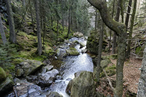 Wasserfall Bayerischen Wald — Stock fotografie