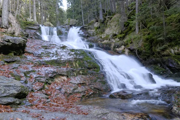 Wasserfall Bayerischen Wald — Foto Stock