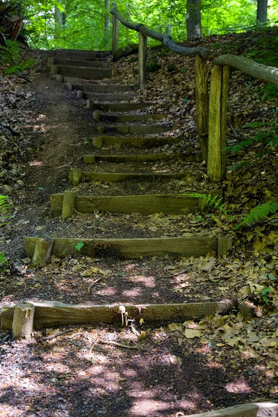 德国萨尔州贝金根森林小径上的土步 — 图库照片