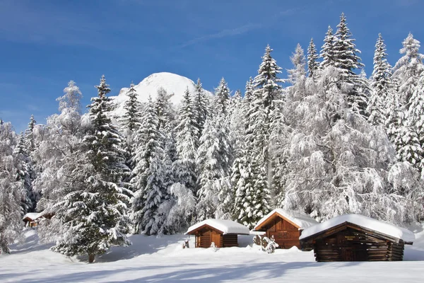 Die Alpen Sind Das Höchste Und Umfassendste Gebirgssystem Das Vollständig — Stockfoto