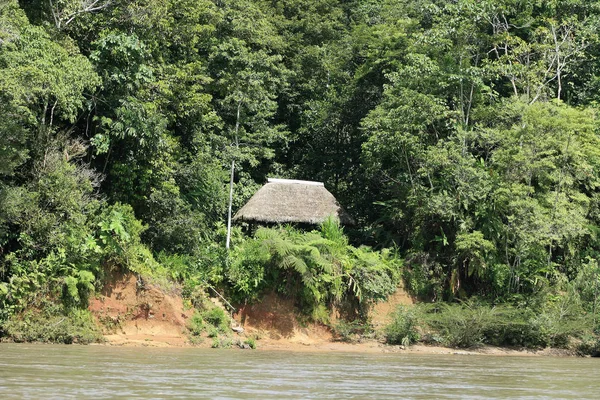 厄瓜多尔Tena附近亚马逊雨林的一座小建筑 屋顶用茅草盖着 座落在丛林里 — 图库照片