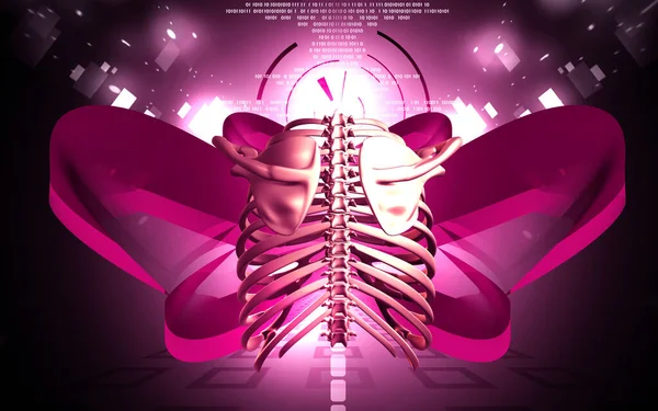 Digital Illustration Rib Cage Colour Background — Stok fotoğraf