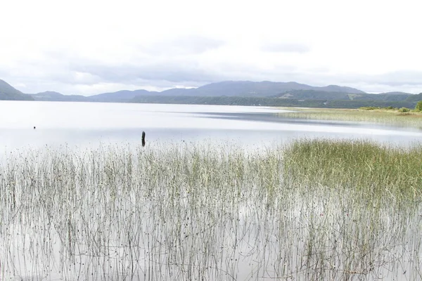 Parque Nacional Chiloé — Foto Stock