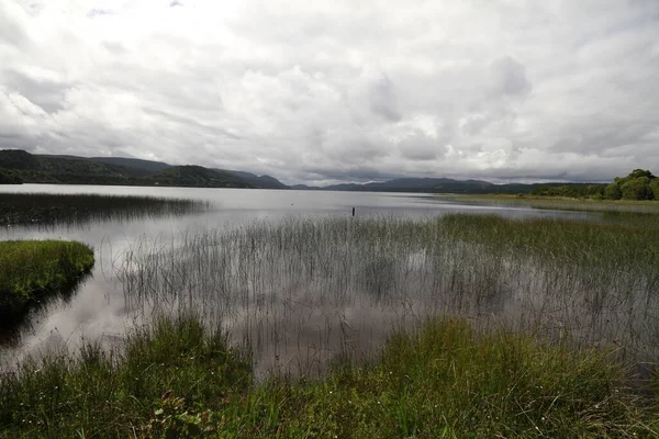 Parque Nacional Chiloe — Fotografia de Stock