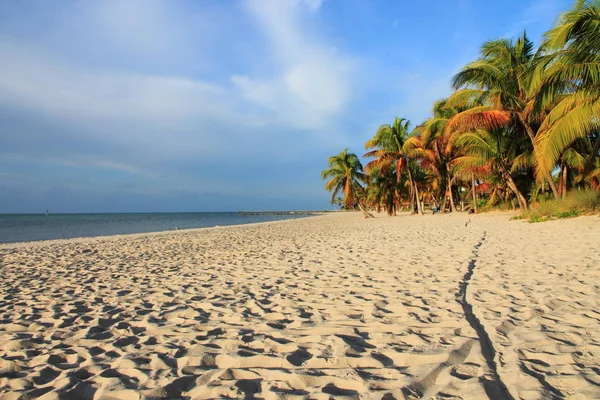 Sandstrand Zentralen Westen — Stockfoto