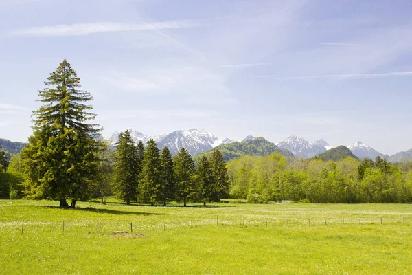 Prachtig Panorama Alpen Duitsland — Stockfoto