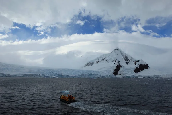 Osservazione Balene Antarctica — Foto Stock