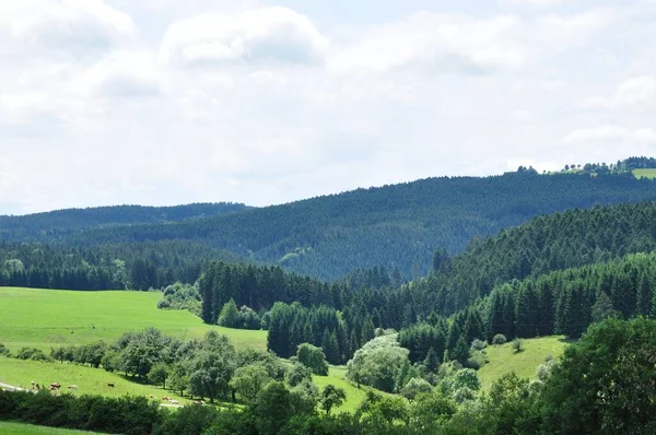 Uitzicht Vanaf Het Kasteel Roggenbach Het Zwarte Bos — Stockfoto